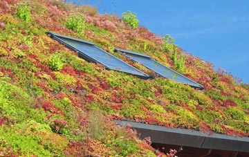 Shilvington living roof systems