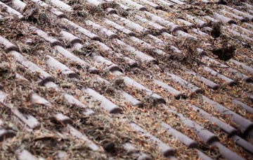 Shilvington roof cleaning companies