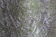 Shilvington fibreglass roof work